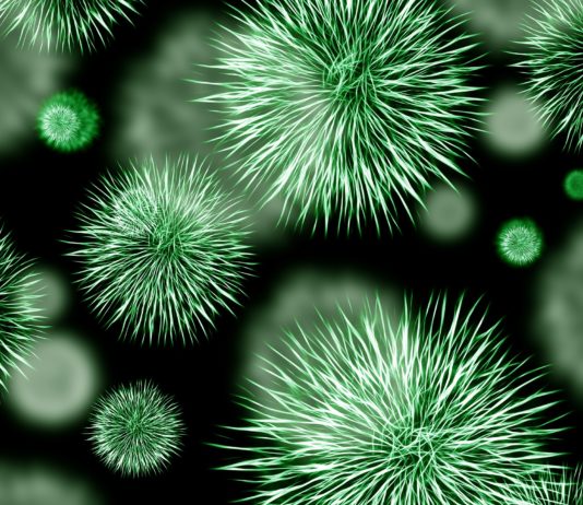 «Да здравствует команда!» бактерии