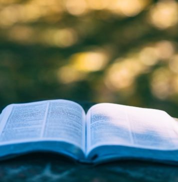 литература