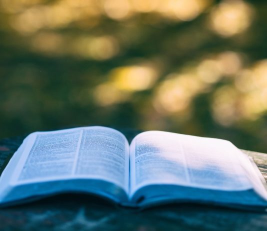 литература