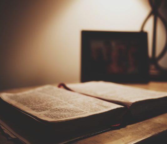 литература